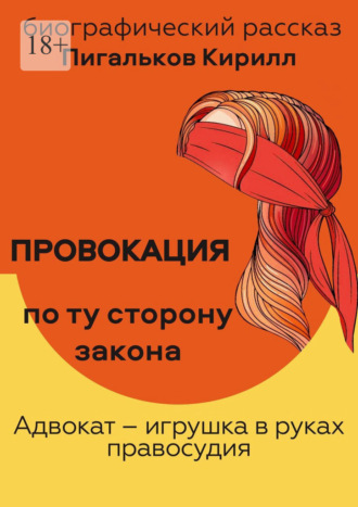 Кирилл Пигальков. Провокация. По ту сторону закона