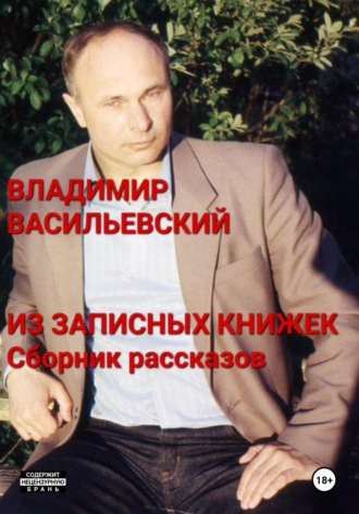Владимир Васильевский. Из записных книжек. Сборник рассказов