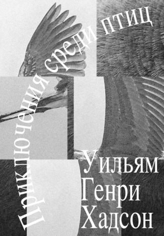 Уильям Генри Хадсон. Приключения среди птиц