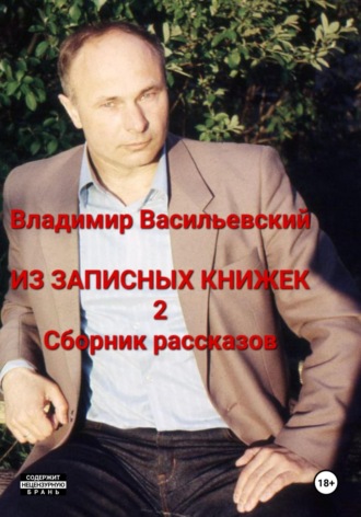 Владимир Васильевский. Из записных книжек 2. Сборник рассказов