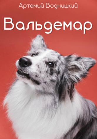 Артемий Водницкий. Вальдемар