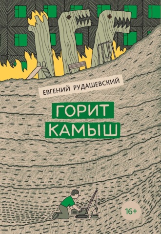 Евгений Рудашевский. Горит камыш