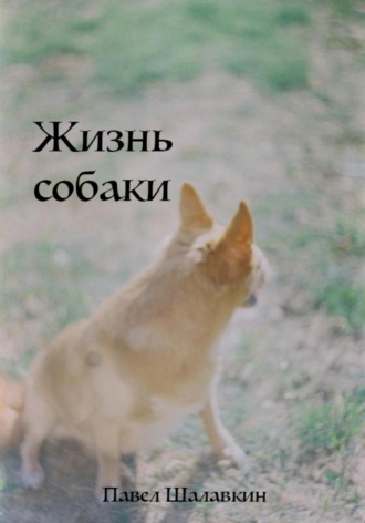Павел Шалавкин. Жизнь собаки