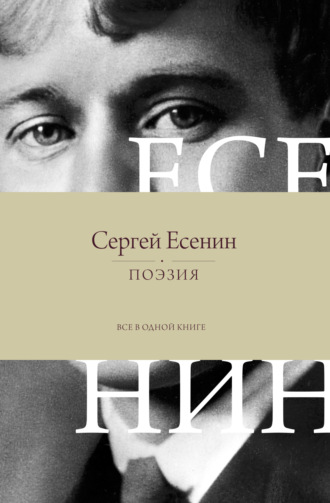 Поэзия. Все в одной книге. 