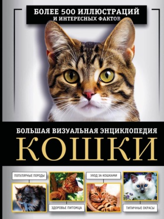Д. С. Смирнов. Кошки. Большая визуальная энциклопедия