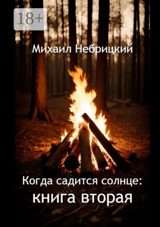 Михаил Небрицкий. Когда садится солнце: Книга вторая
