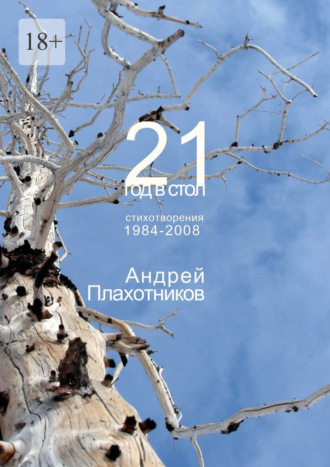 Андрей Плахотников. 21 год в стол