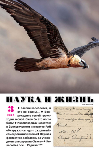 . Наука и жизнь №03/2025