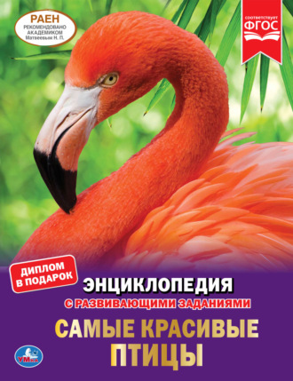 П. М. Волцит. Самые красивые птицы