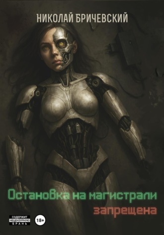 Николай Бричевский. Остановка на магистрали запрещена