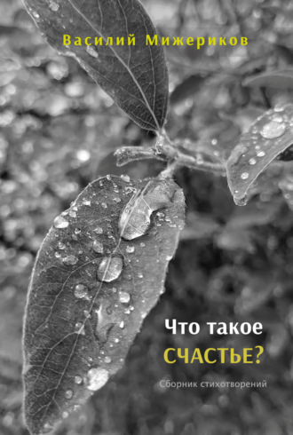 Василий Мижериков. Что такое счастье?