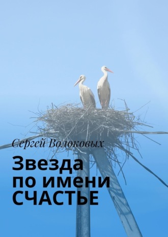 Сергей Анатольевич Волоковых. Звезда по имени Счастье
