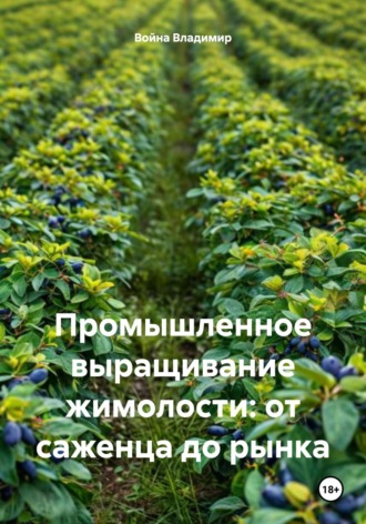 Война Владимир. Промышленное выращивание жимолости: от саженца до рынка