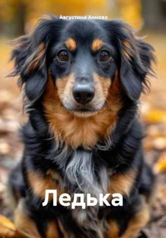 Ледька. 
