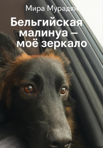 Мира Мурадян. Бельгийская Малинуа – моё зеркало