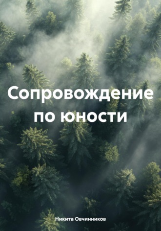 Никита Алексеевич Овчинников. Сопровождение по юности
