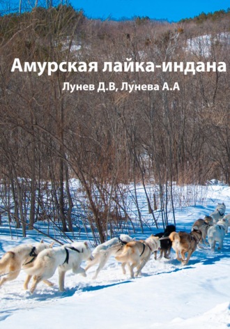 Лунев Данил. Амурская лайка-индана