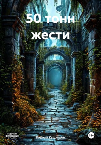 Кирилл Кудряшов. 50 тонн жести