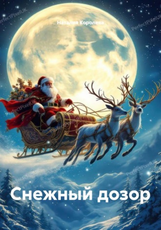 Снежный дозор. 