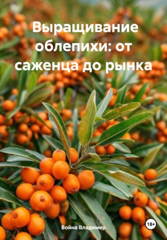 Война Владимир. Выращивание облепихи: от саженца до рынка