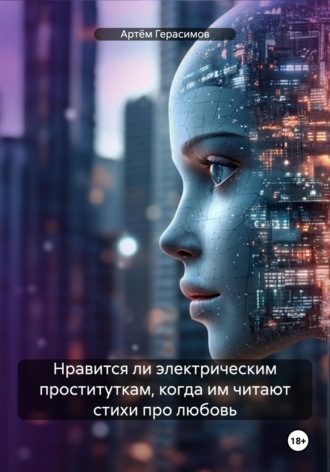 Артём Сергеевич Герасимов. Нравится ли электрическим проституткам, когда им читают стихи про любовь