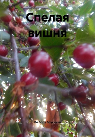 Во бору брусника. Спелая вишня