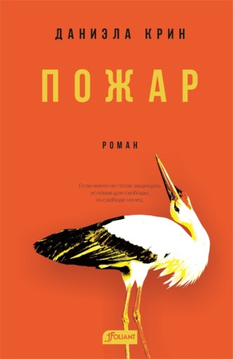 Даниэла Крин. Пожар