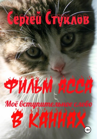 Сергей Игоревич Стуклов. Фильм АССА – моё вступительное слово в Каннах