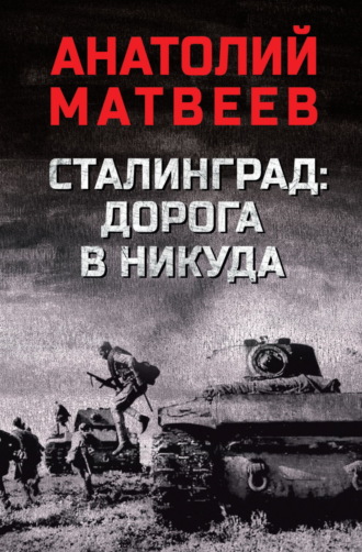 Анатолий Матвеев. Сталинград: дорога в никуда
