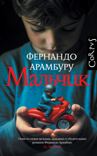 Фернандо Арамбуру. Мальчик