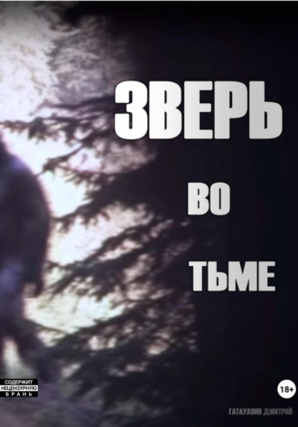 Зверь во тьме. Гатауллин Дмитрий