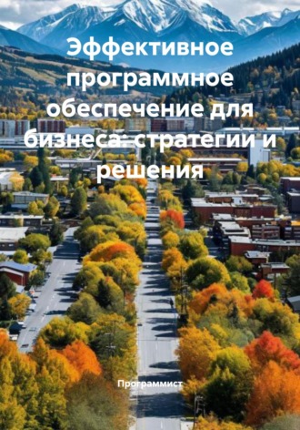 Программист. Эффективное программное обеспечение для бизнеса: стратегии и решения
