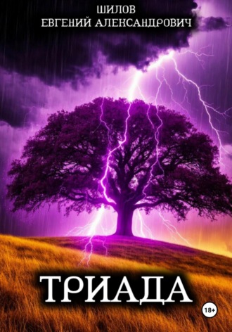 Евгений Александрович Шилов. Триада