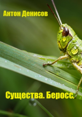 Антон Денисов. Существа. Беросс