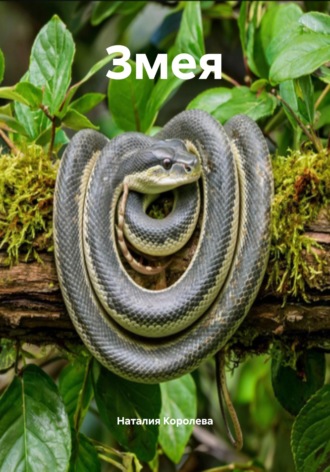 Змея. 