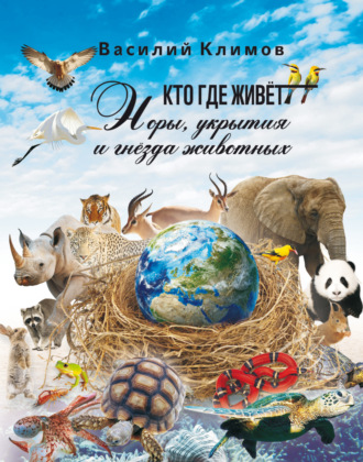 Василий Климов. Кто, где живет. Норы, укрытия и гнёзда животных