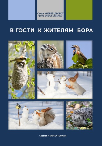 В гости к жителям бора. 