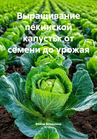 Война Владимир. Выращивание пекинской капусты: от семени до урожая