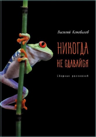 Василий Коновалов. Никогда не сдавайся