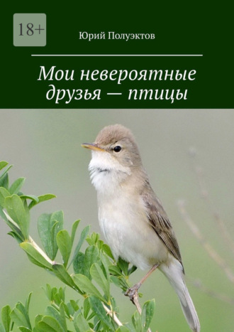 Юрий Полуэктов. Мои невероятные друзья – птицы