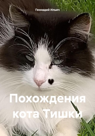 Геннадий Владимирович Ильич. Похождения кота Тишки