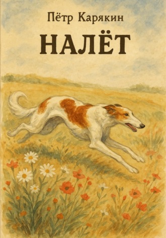 Пётр Петрович Карякин. Налёт