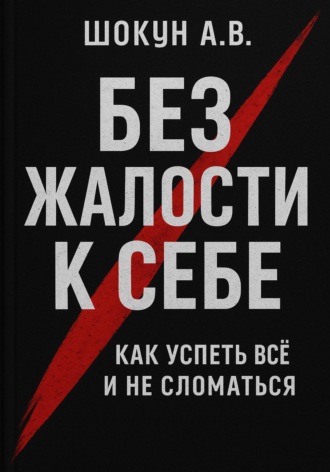 Без жалости к себе: Как успеть Всё и не Сломаться. Шокун Алексей