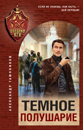 Александр Тамоников. Темное полушарие