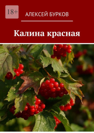Алексей Бурков. Калина красная
