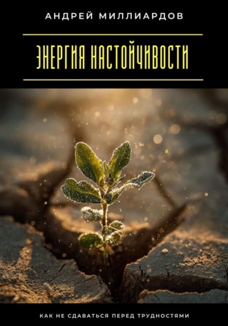 Андрей Миллиардов. Энергия настойчивости. Как не сдаваться перед трудностями
