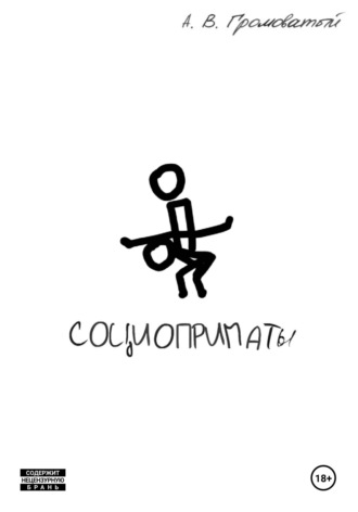 Андрей Викторович Громоватый. Социоприматы