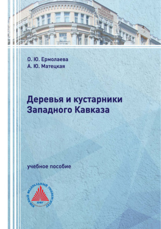О. Ю. Ермолаева. Деревья и кустарники Западного Кавказа