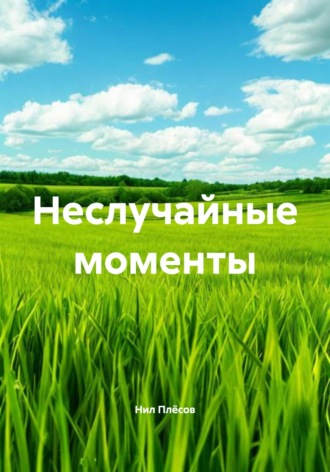 Неслучайные моменты. Нил Плёсов
