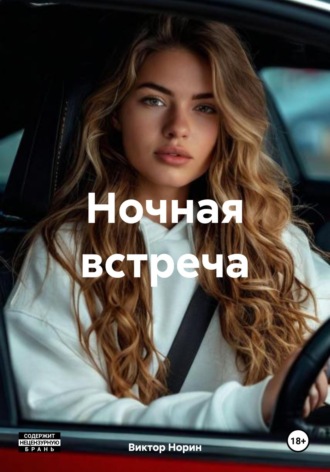 Виктор Норин. Ночная встреча